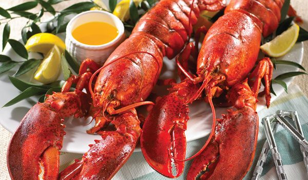 Massachusetts Lobstermen's Association - Proudly Serving the Lobster ...